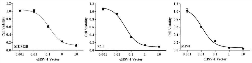 Application of oncolytic virus in treatment on uveal melanoma, marker of treatment effect and detection reagent thereof