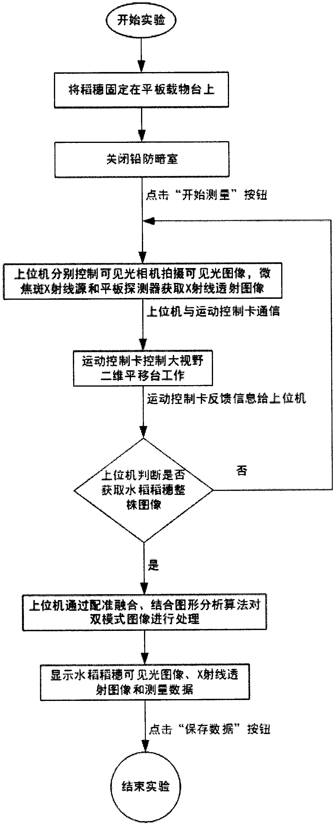 Fully-automatic rice panicle character extraction system based on large view X-ray visible light registration imaging