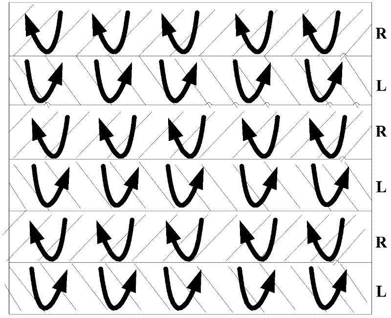 A kind of thin integrated 3D three-dimensional display polarizer and preparation method thereof