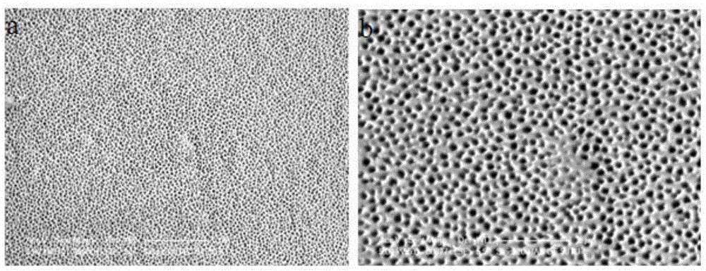 A Method of Controllable Evaporation Surface Temperature Based on Porous Composite Materials