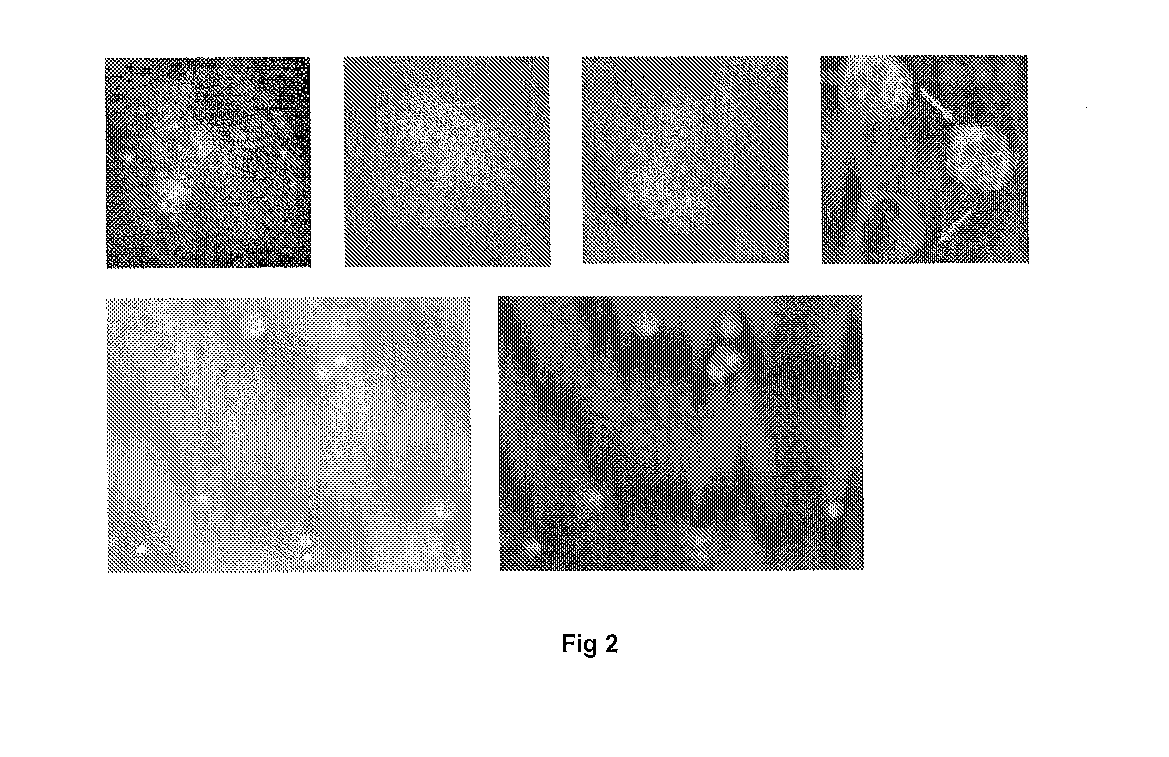 Microfluidic Chamber Assembly for Mastitis Assay