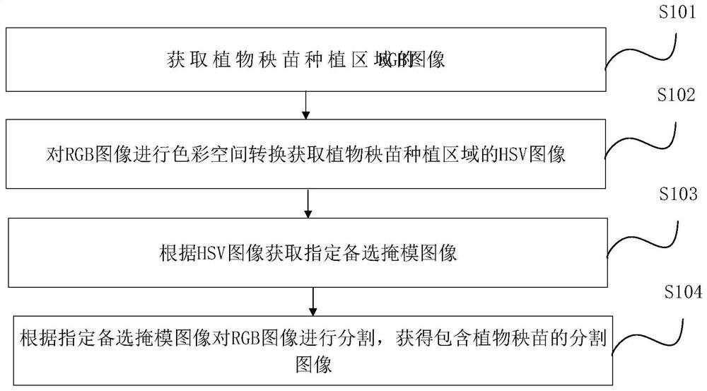 Plant seedling image segmentation method and device, electronic equipment and medium