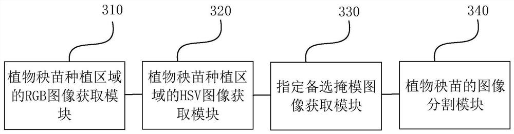 Plant seedling image segmentation method and device, electronic equipment and medium