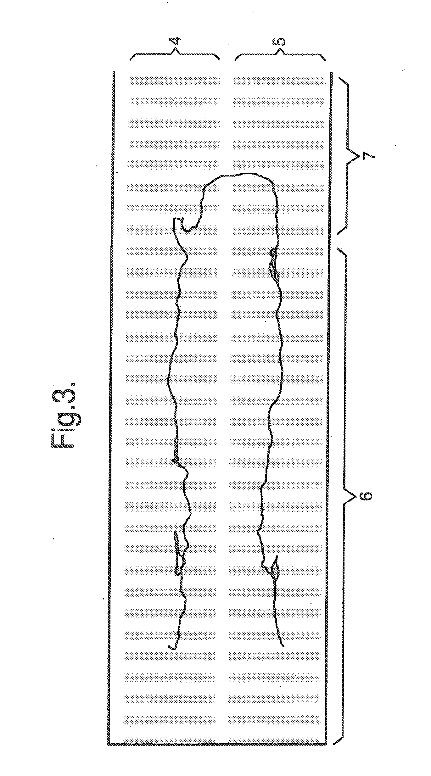 Ion Guide Array