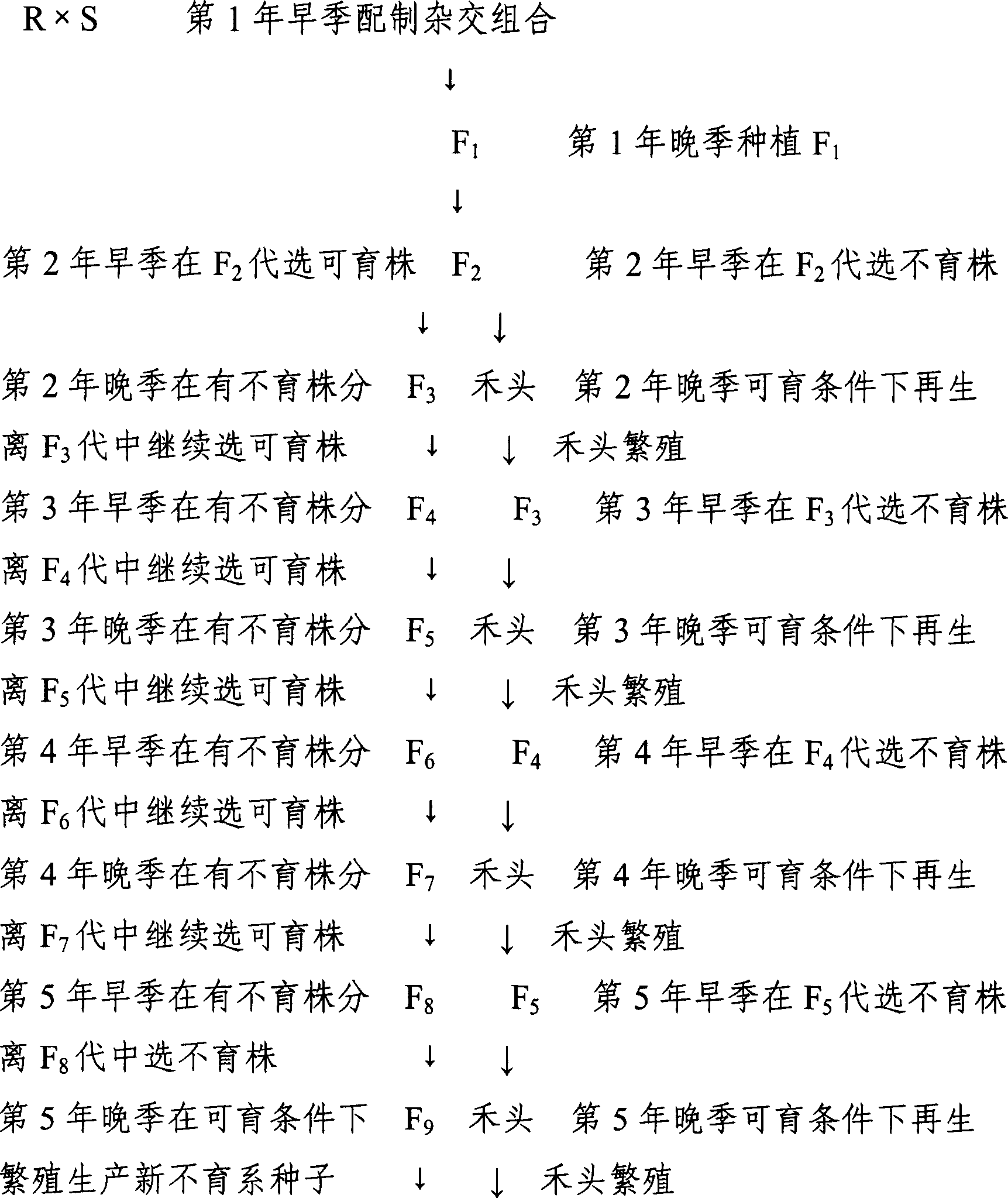 Method for cultivating photo-temp. sensitive type male nuclear sterile rice