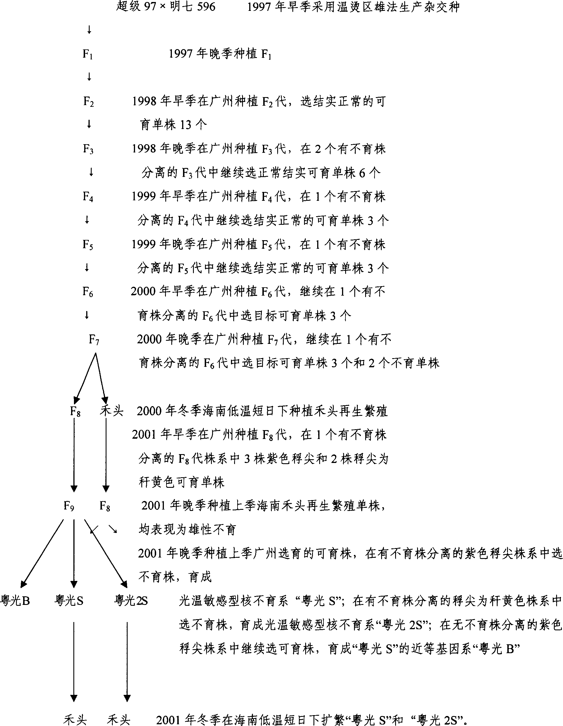 Method for cultivating photo-temp. sensitive type male nuclear sterile rice