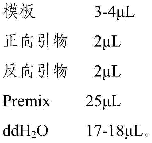 Deoxyribonucleic acid (DNA) sequence of narrow-headed vole