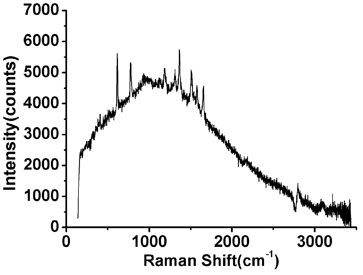 Raman spectrum measurement system