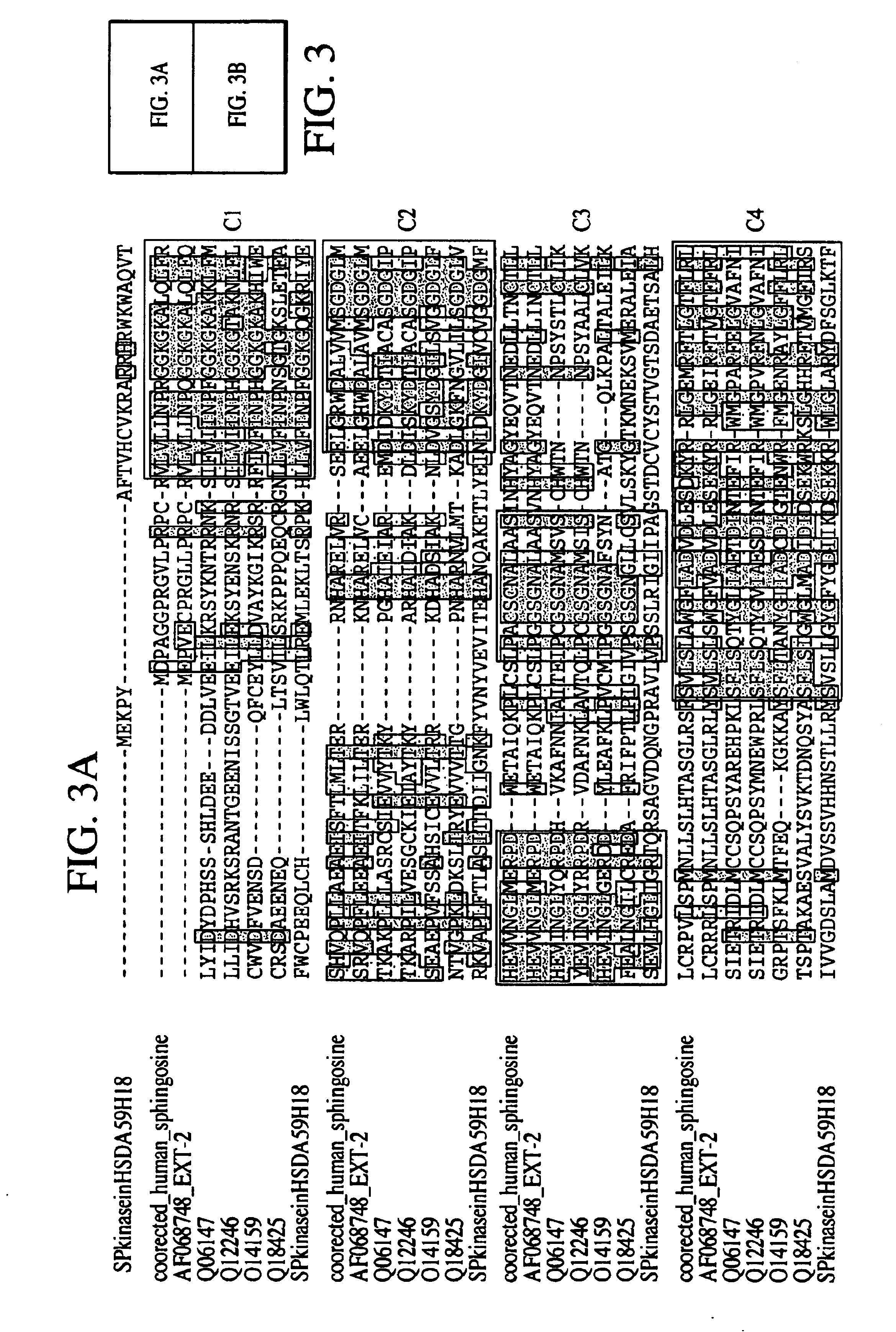 Sphingosine kinases