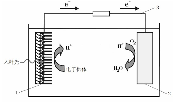 Nanotube array fuel battery of visible light response