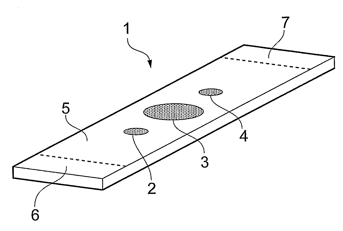 Disposable Electrode Patch