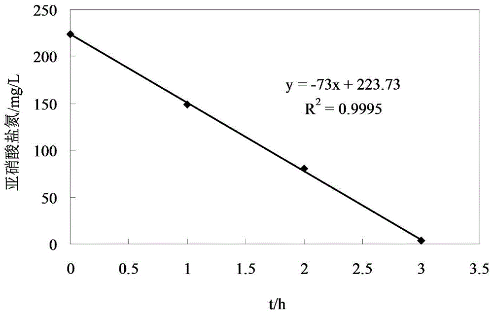 Nitrobacter winogradsky XY-01, as well as preparation method and application thereof