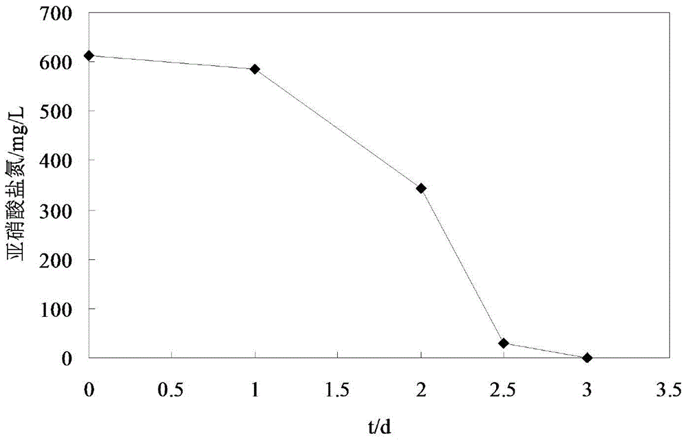 Nitrobacter winogradsky XY-01, as well as preparation method and application thereof