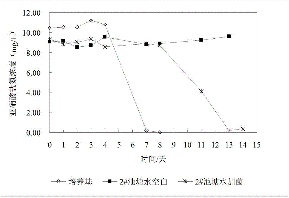 Nitrobacter winogradsky XY-01, as well as preparation method and application thereof