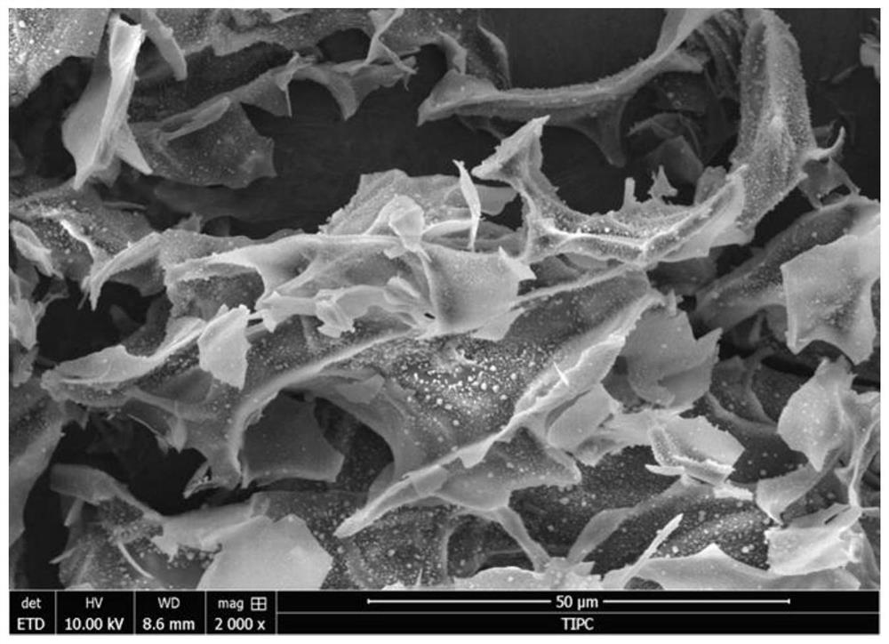 Co-assembled epitope vaccine and its application