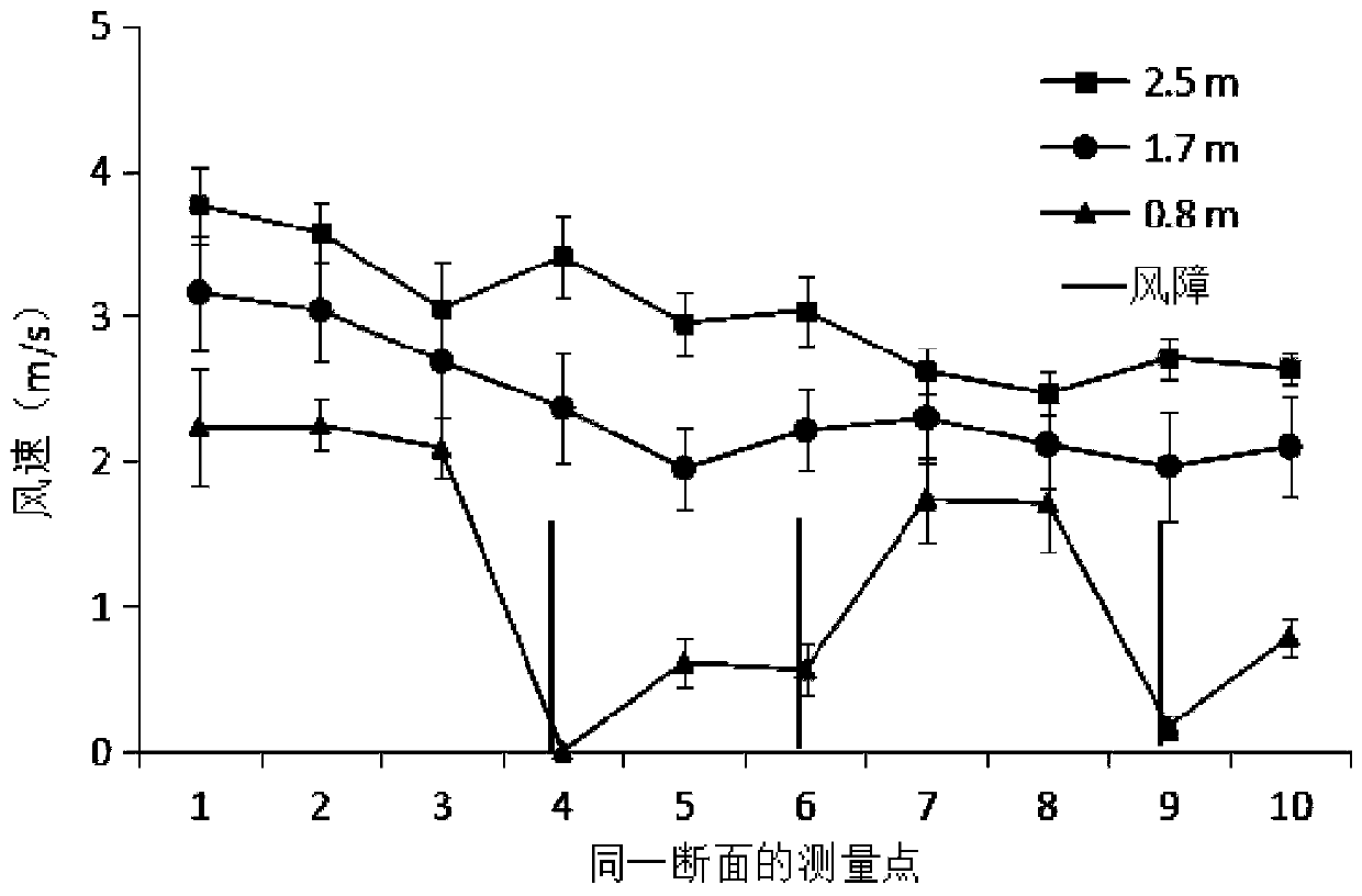 Leading-edge area rapid forest establishment method for vegetation restoration of island windward slope