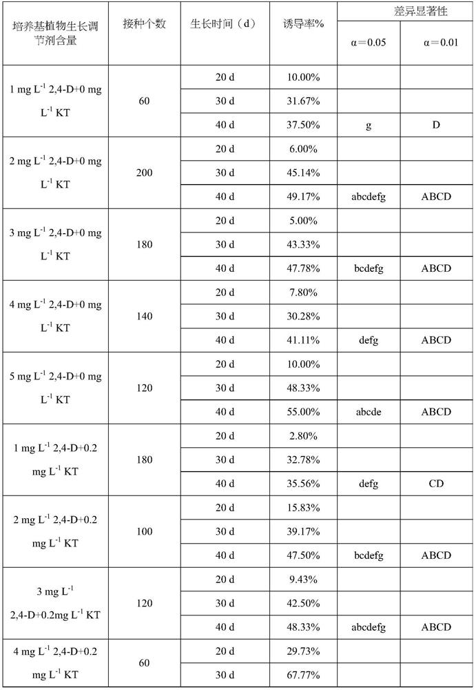 Induction method of ixora flower anther callus