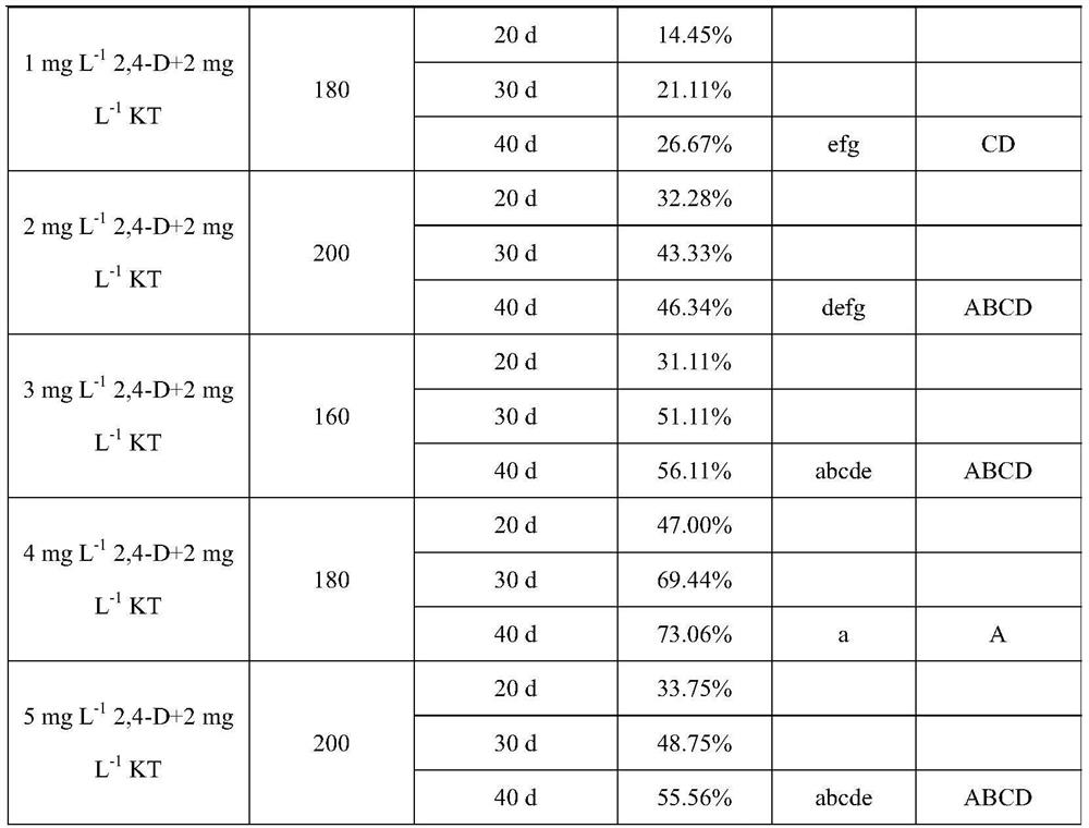 Induction method of ixora flower anther callus