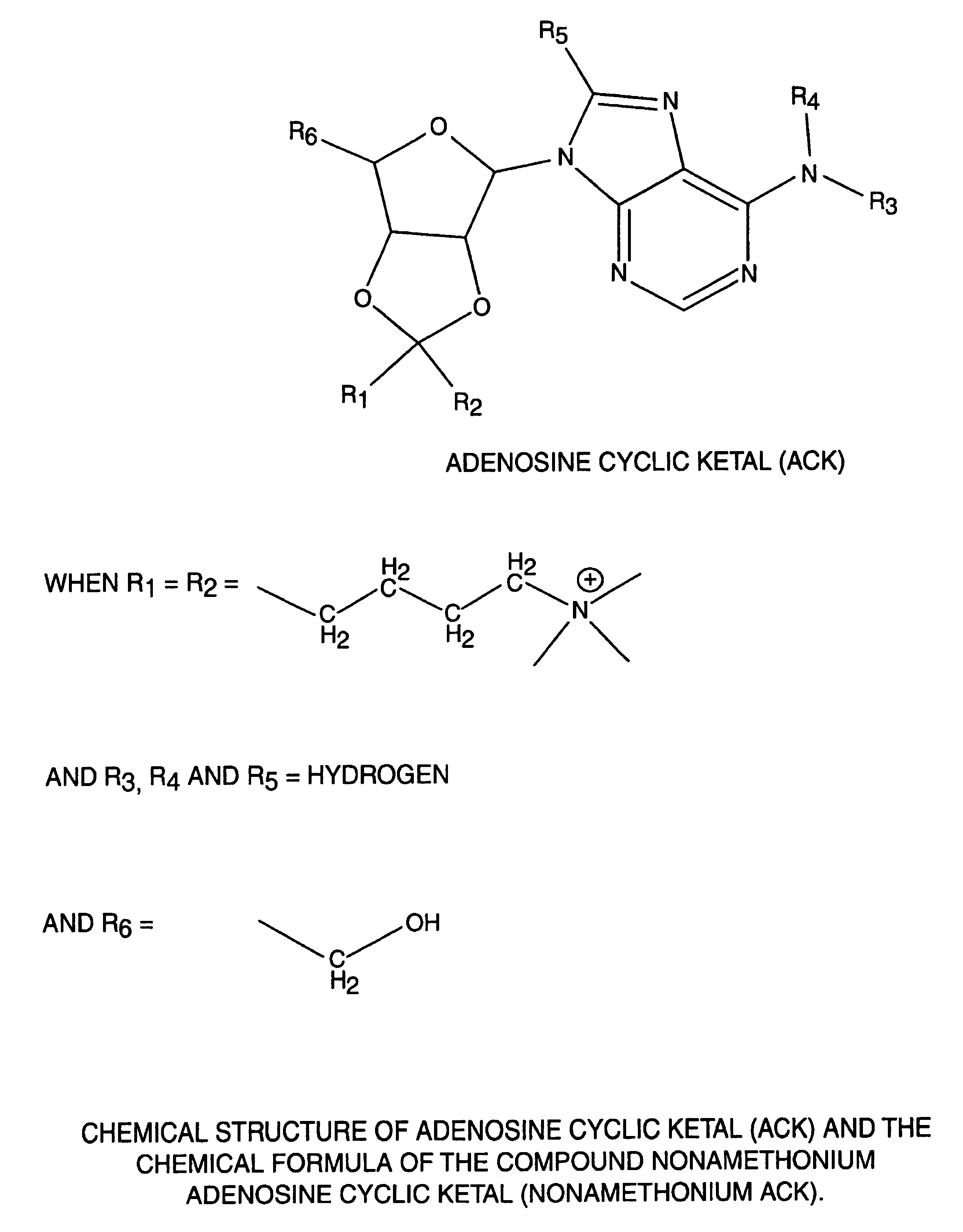 Adenosine cyclic ketals: novel adenosine analogues for pharmacotherapy