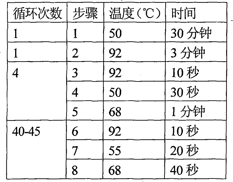 Fluorescent quantitative PCR (Polymerase Chain Reaction) detection kit and detection method of various viruses of donor corneas