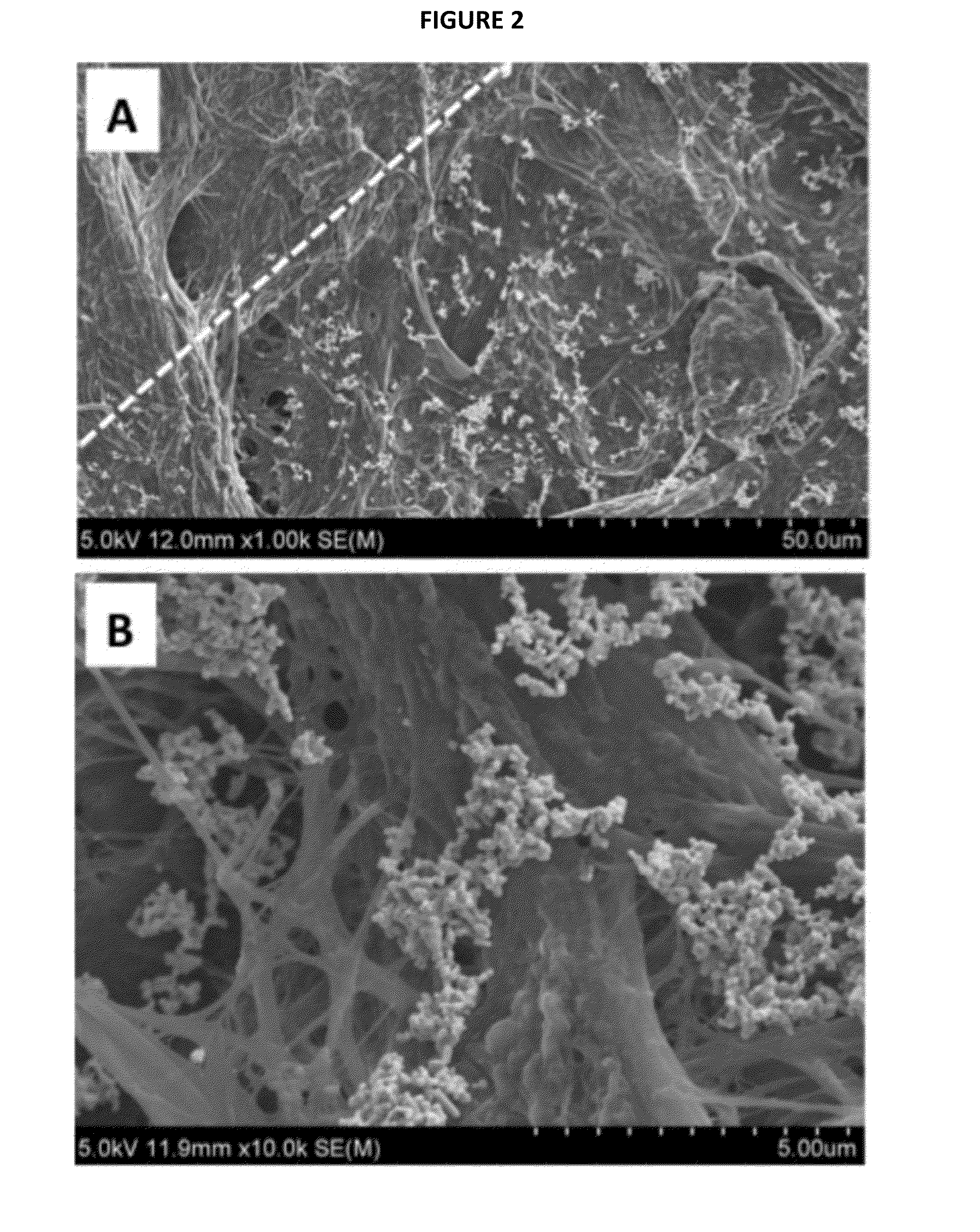 Porous SERS analytical devices and methods of detecting a target analyte