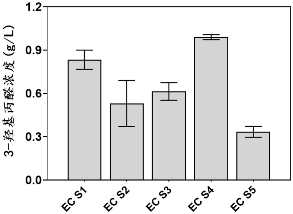 Genetically engineered bacterium EC01 S7 for co-production of 3-hydracrylic acid and 1, 3-propylene glycol as well as construction method and application of genetically engineered bacterium EC01 S7