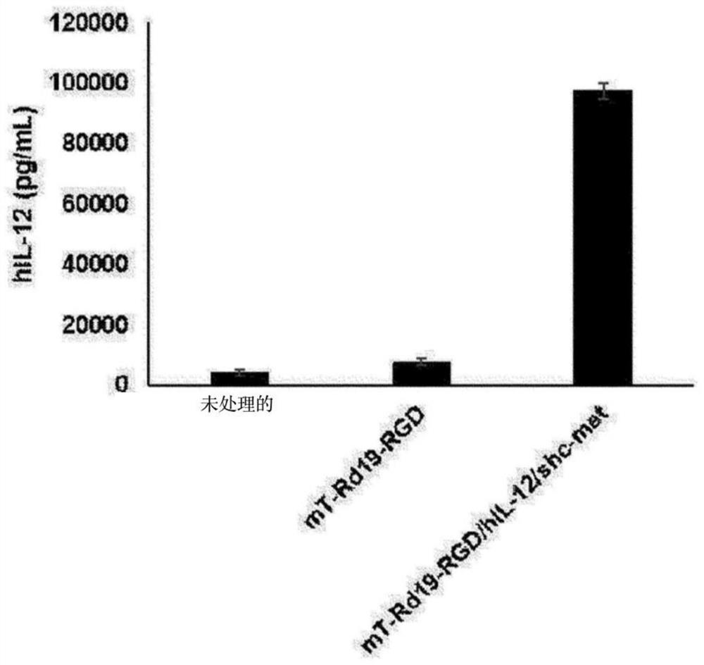 Anti-tumor composition