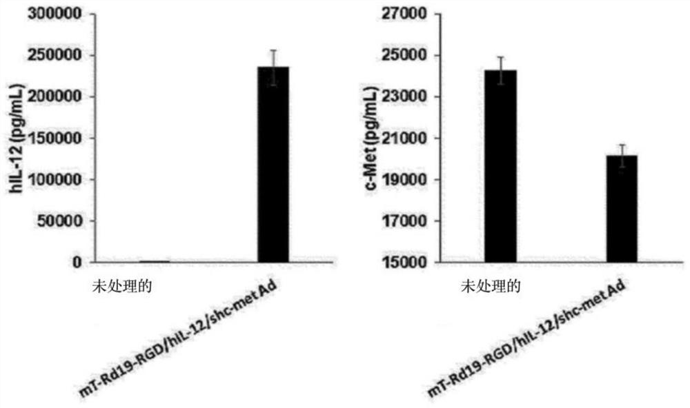 Anti-tumor composition