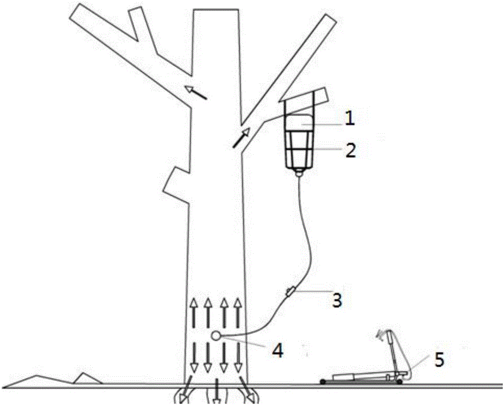 Aquilaria sinensis high-pressure infusion tambac generating method and device