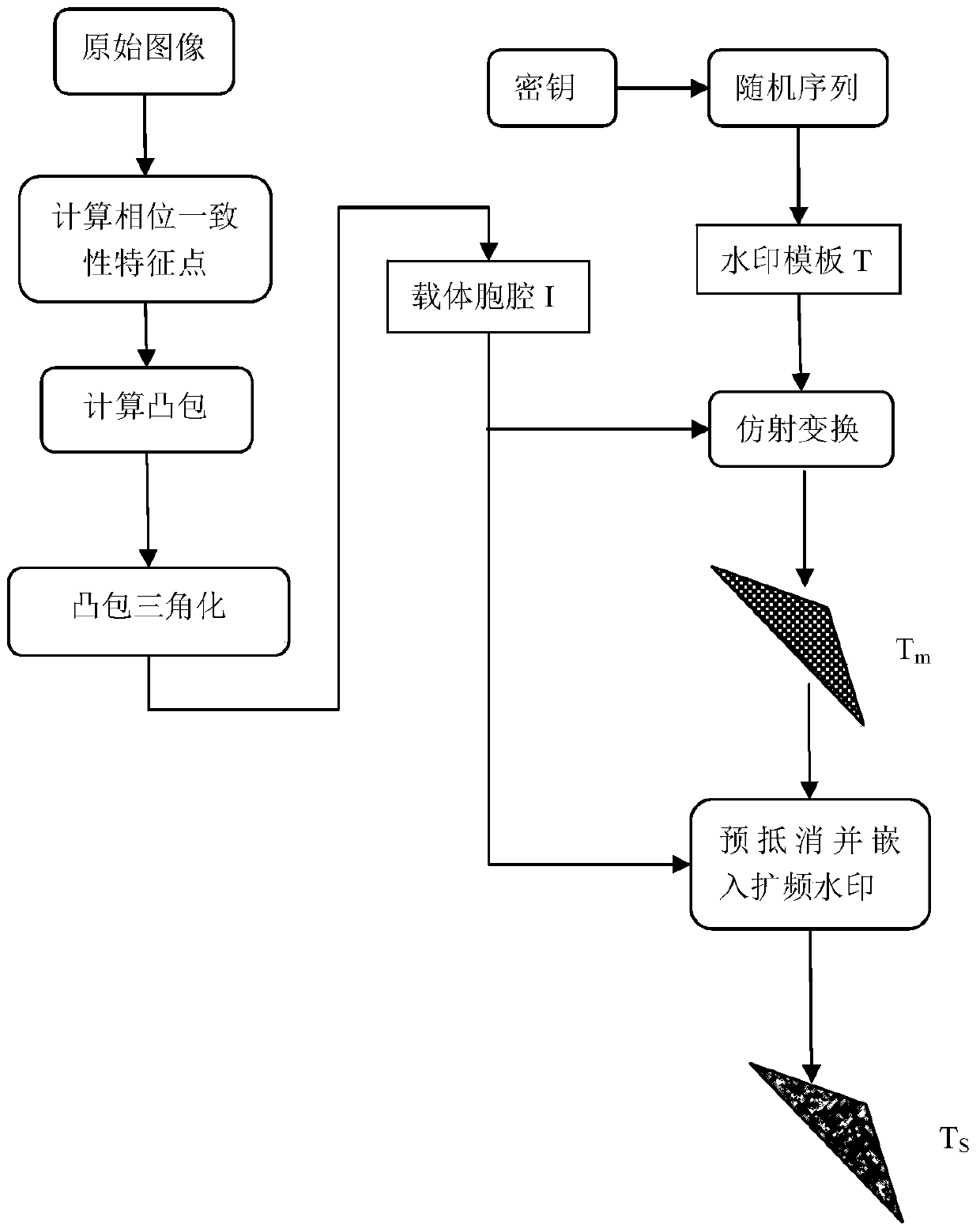 Digital watermarking method against geometric attack based on phase consistency and pre-cancellation