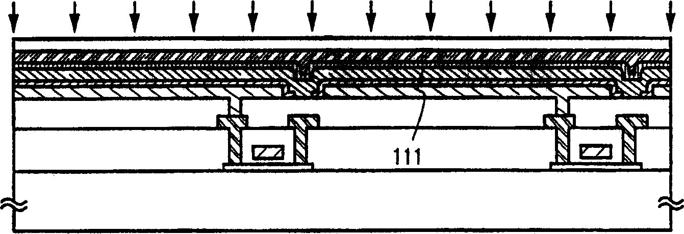 Electroluminescence device and manufacturing method thereof