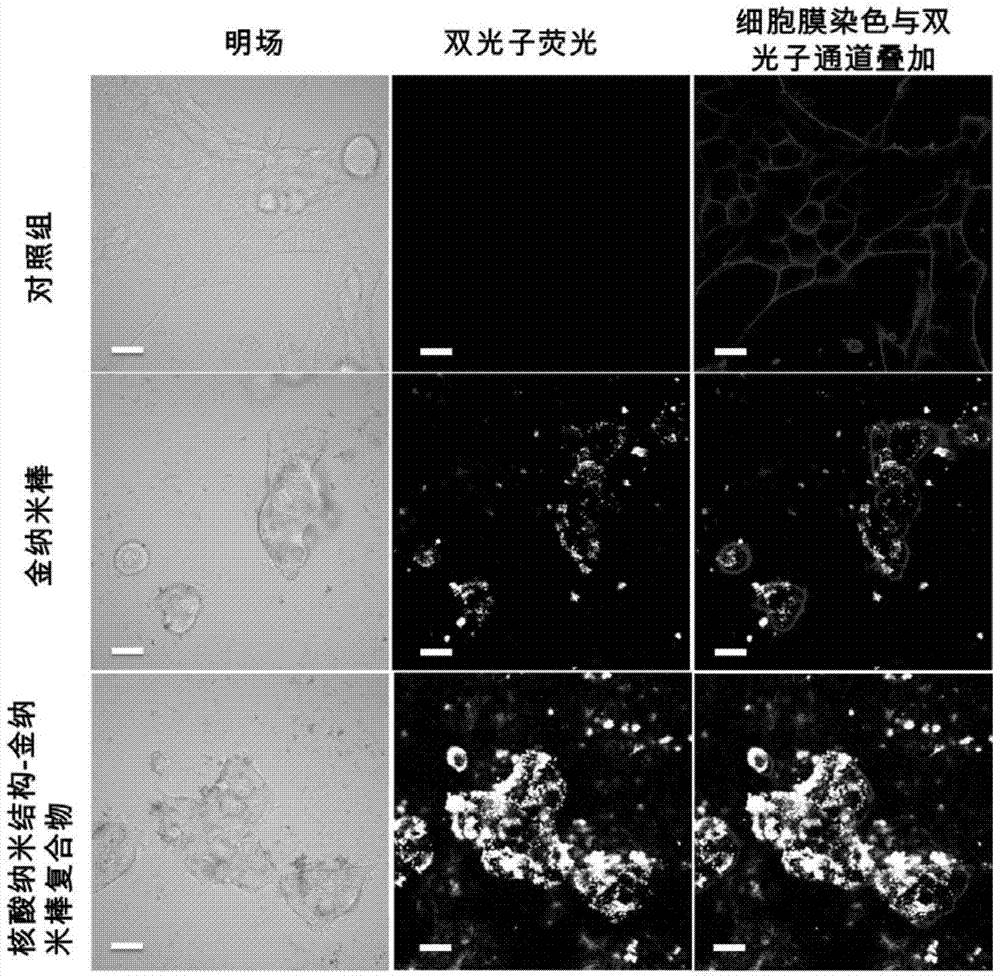 Nucleic acid nano structure carrier-precious metal photosensitive contrast agent composite for living organism photo-acoustic imaging, preparation method and applications thereof