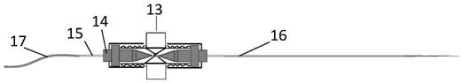 Method for in-situ analysis of squalene content in microbial colonies