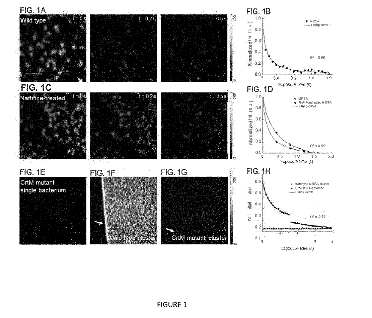 METHOD AND DEVICE FOR ANNIHILATION OF METHICILLIN-RESISTANT Staphylococcus aureus