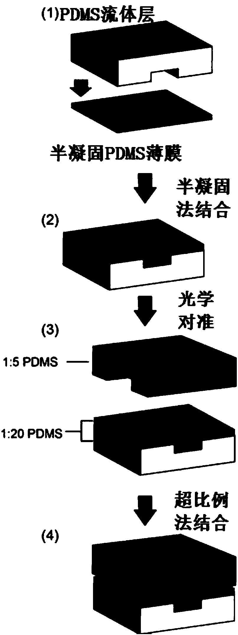 Macrofluid-based microfluidic chip and preparation method thereof