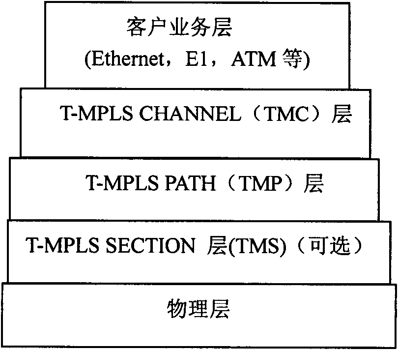 T-MPLS device model and layering encapsulating method