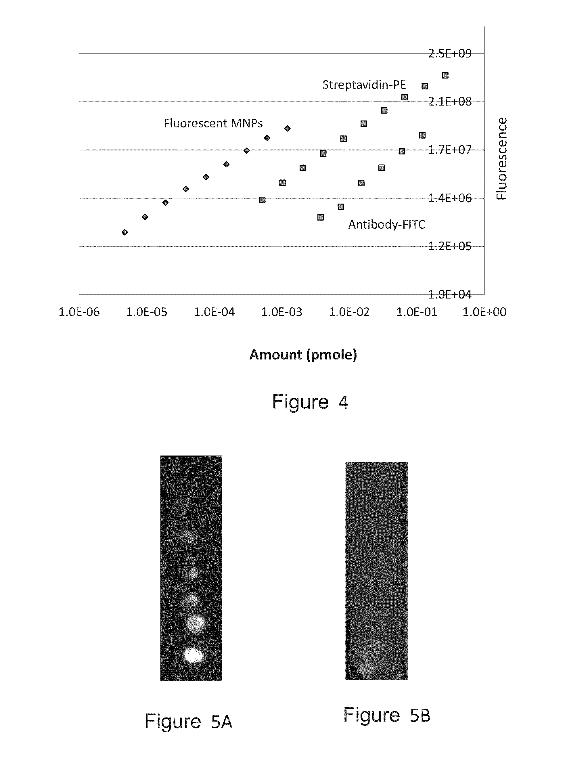 Detection assays employing magnetic nanoparticles