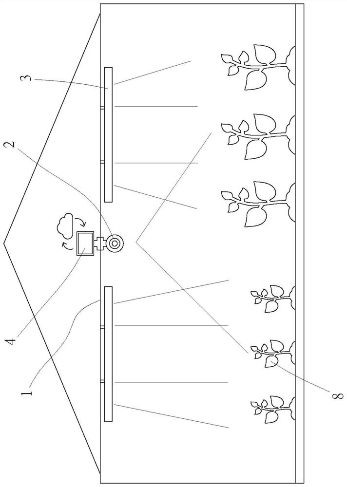 Plant growth recognition method and system