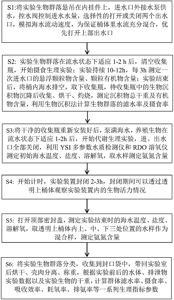 Physiological marine shellfish organism experiment device and experiment method based on community level