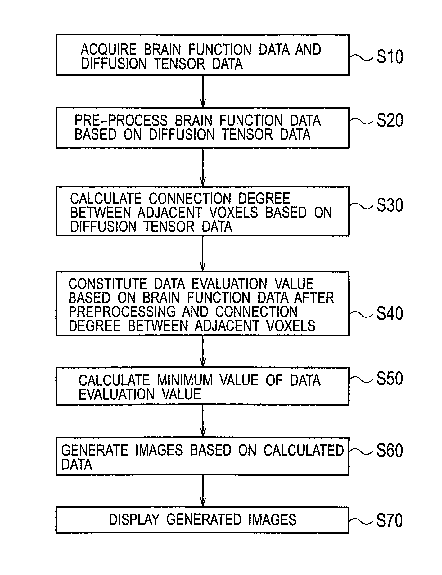 Brain function analysis apparatus and method