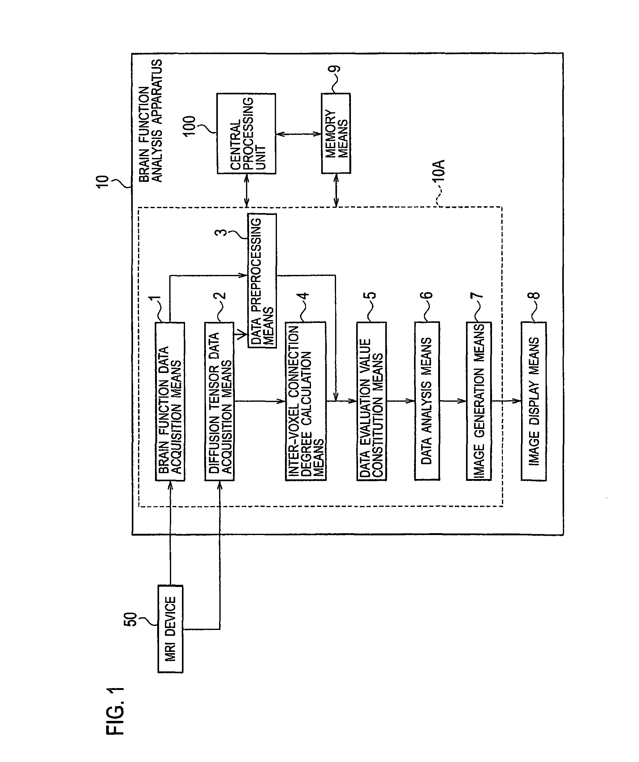 Brain function analysis apparatus and method