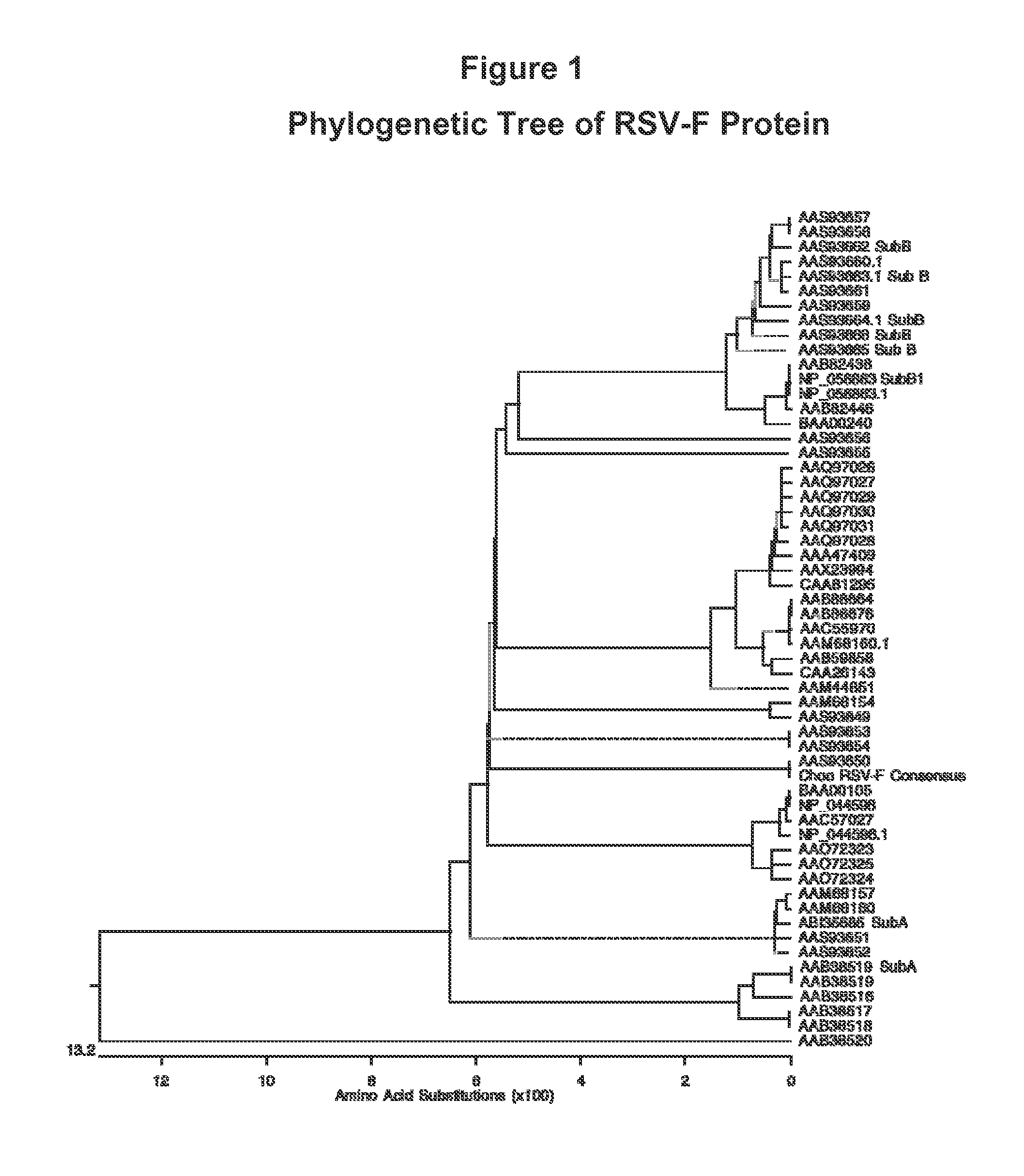 Human Respiratory Syncytial Virus Consensus Antigens, Nucleic Acid Constructs And Vaccines Made Therefrom, And Methods Of Using Same