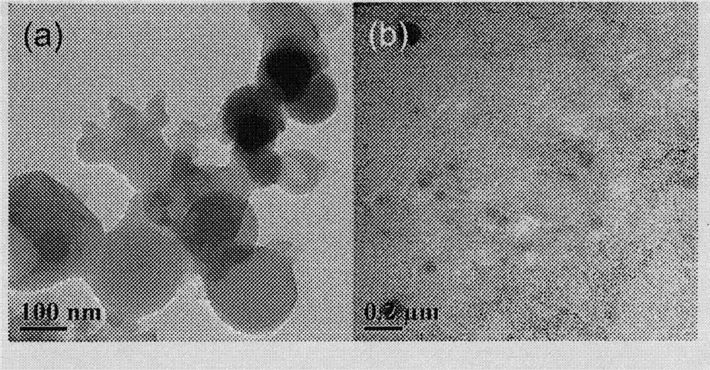 Core-shell nanofiber wrapping lipidosome