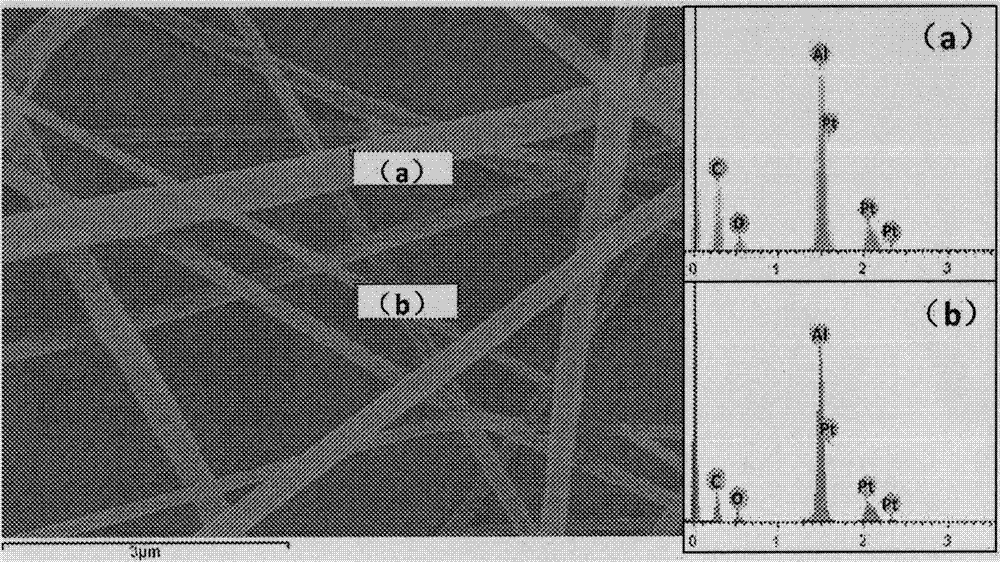 Core-shell nanofiber wrapping lipidosome