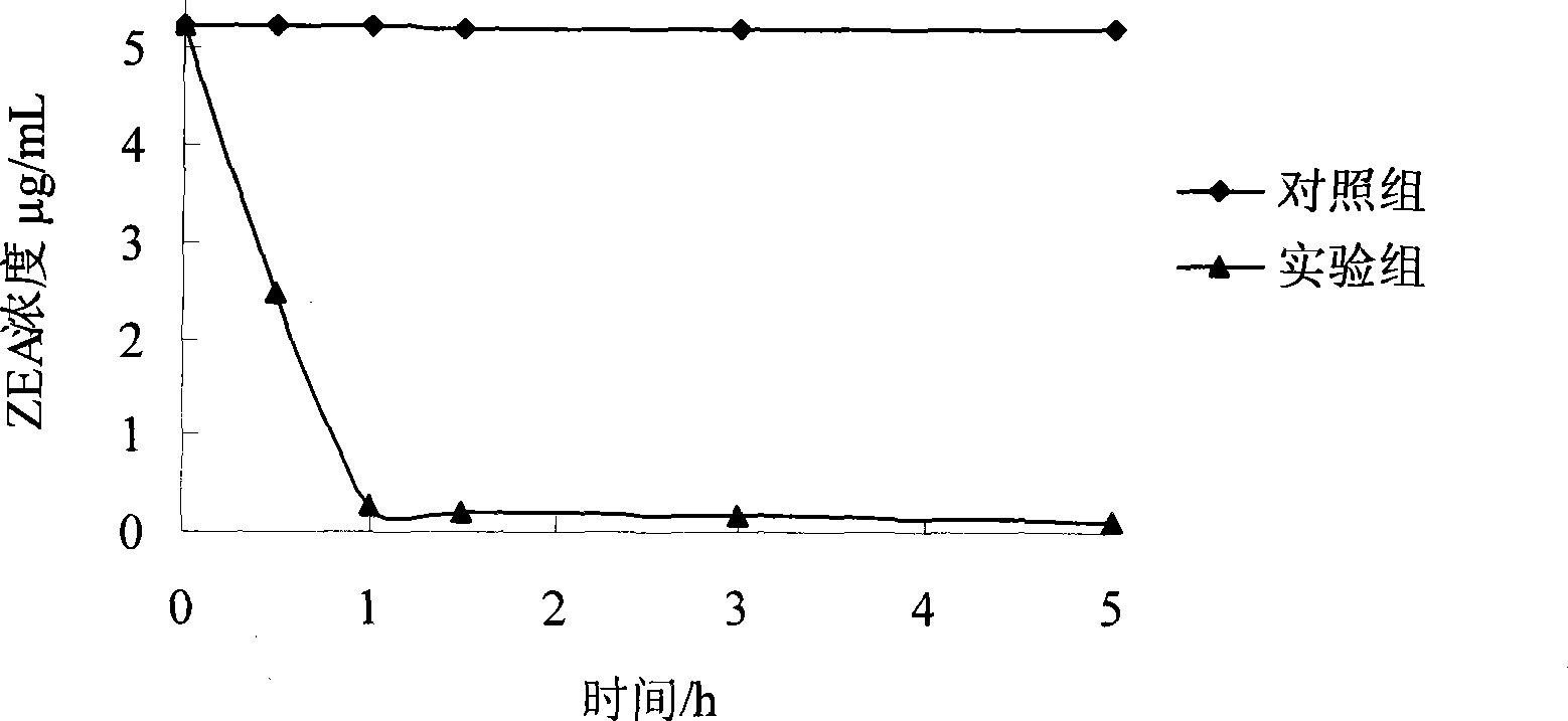 Method for producing feed from detoxified corn residue after producing alcohol by mixed bacterial micro-ecological formulation