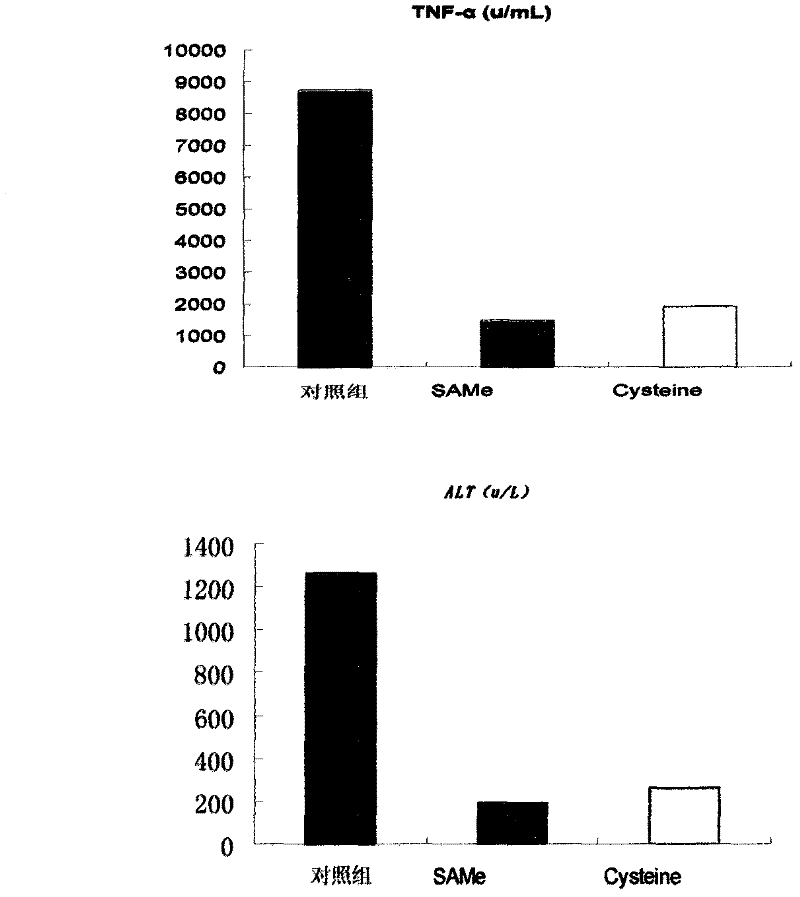 Composite biological preparation with obvious chemical hepatic injury protecting function