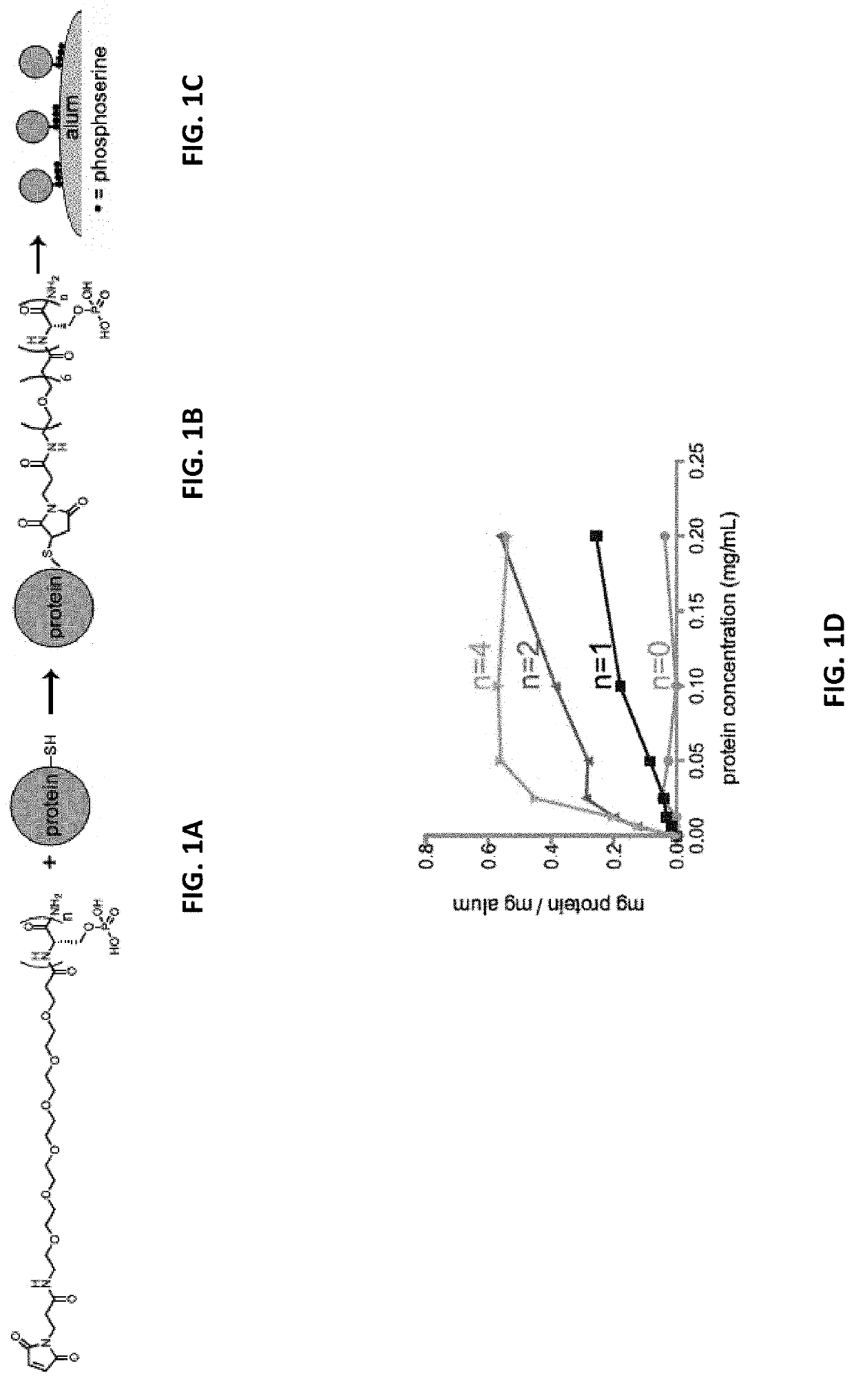 Antigen-adjuvant coupling reagents and methods of use