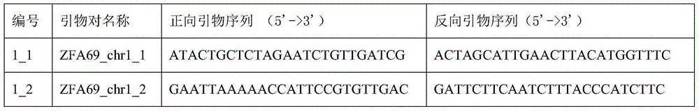 Identification method for hybrid rice variety hybrid source superior 69 based on InDel (insertion-deletion length polymorphism) marker