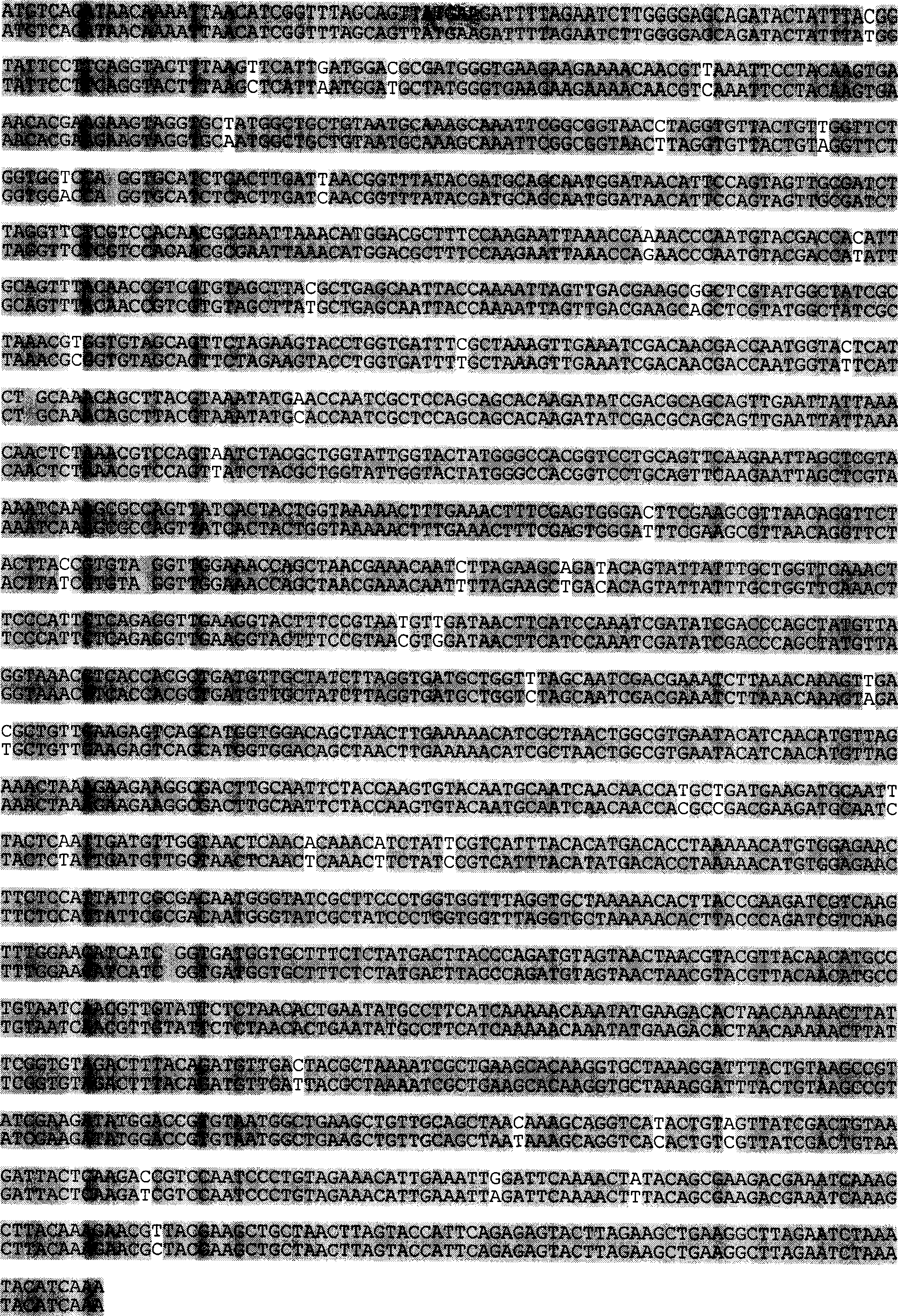 Acetonic acid oxidase gene, recombinant expression plasmid and transformation strains thereof