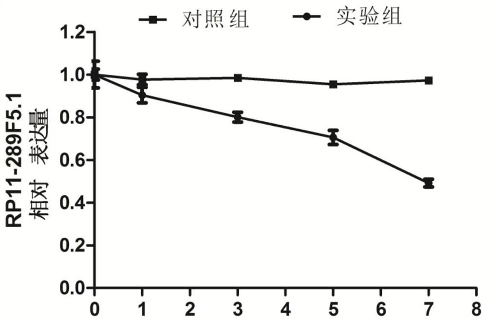 A kind of periodontal ligament stem cell proliferation and osteogenic differentiation promoter